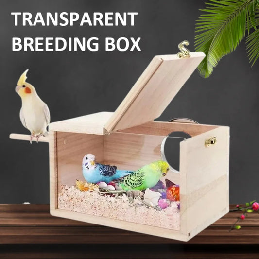 Transparent Wooden Parrot Nest Box