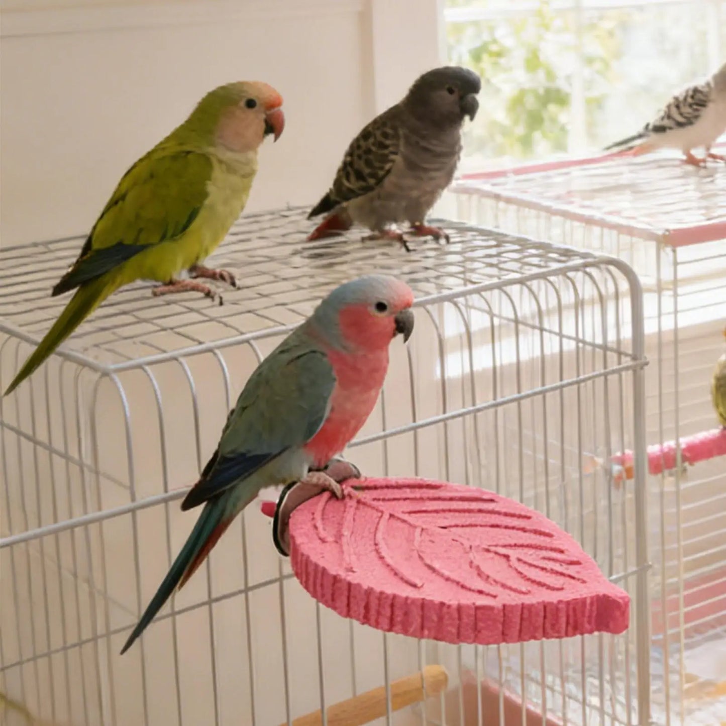 Cockatiel Perch Stand – Resin Bird Cage Platform Toy
