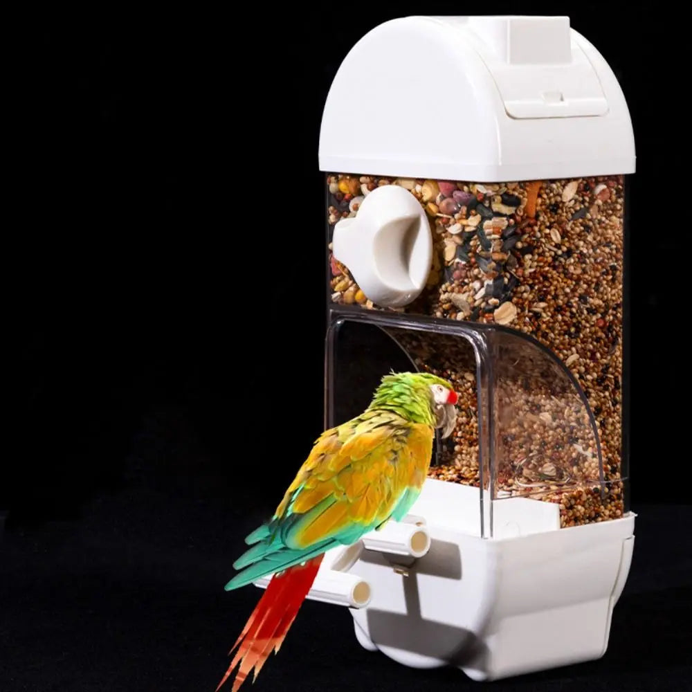 Transparent Hanging Bird Feeder for Parrots