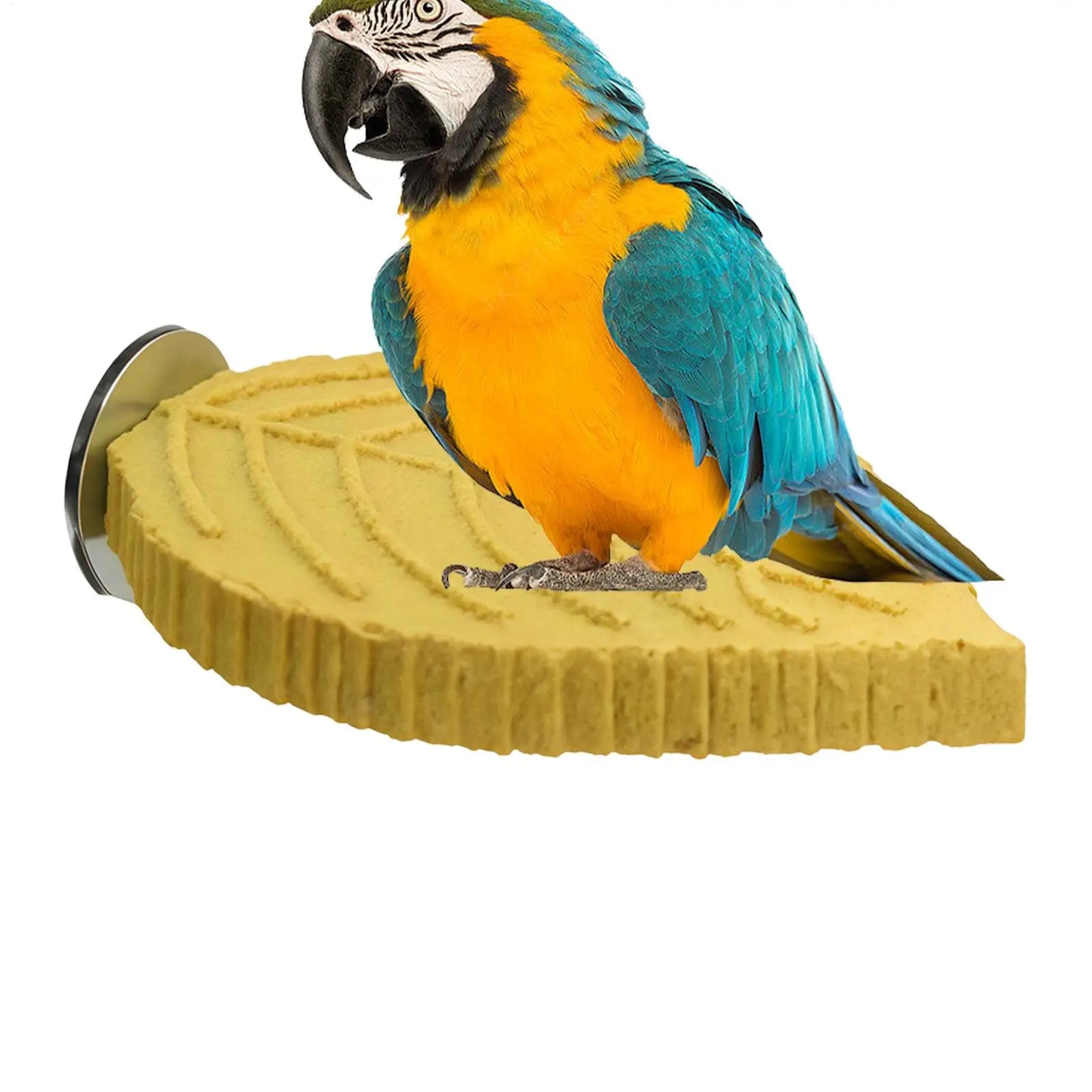 Cockatiel Perch Stand – Resin Bird Cage Platform Toy