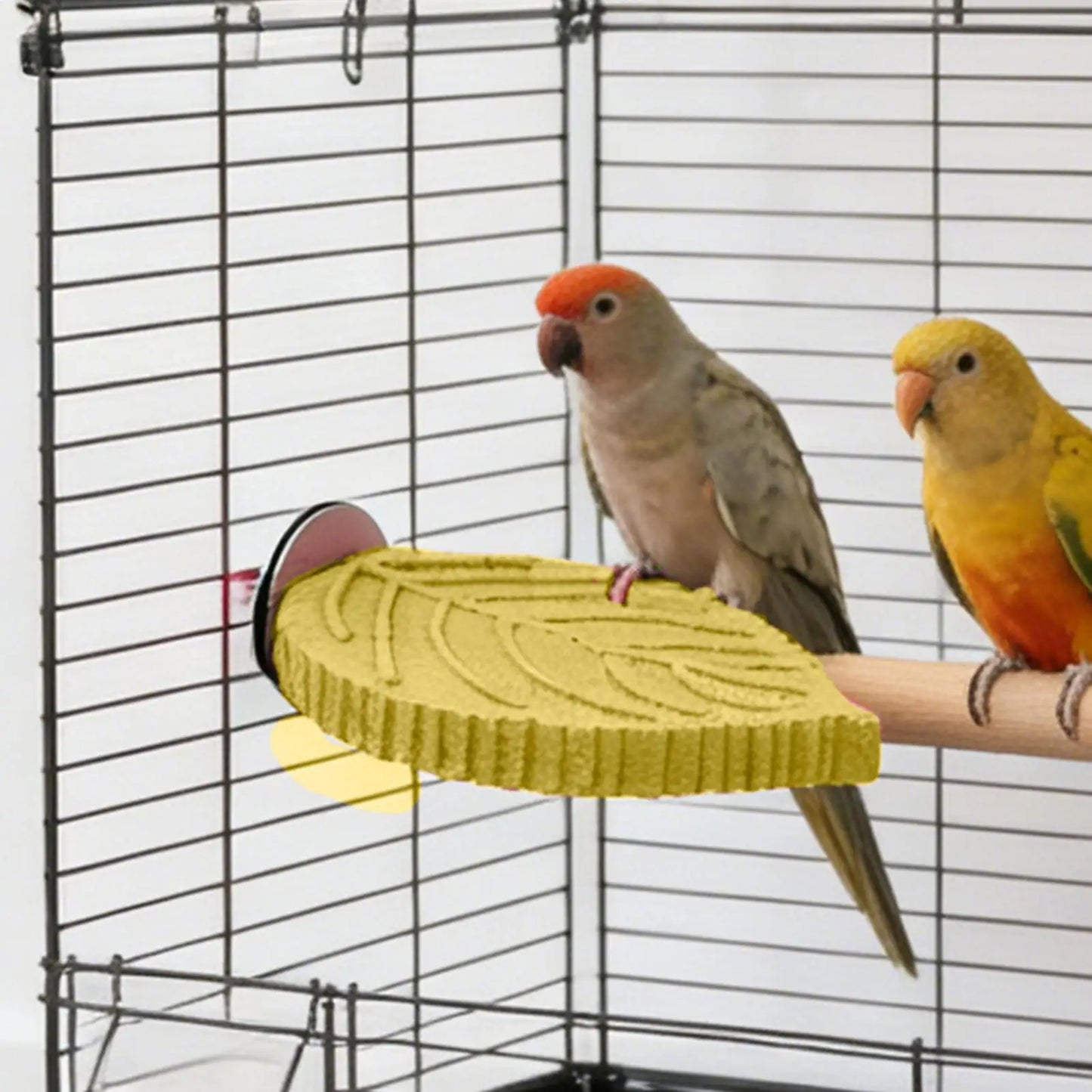 Cockatiel Perch Stand – Resin Bird Cage Platform Toy