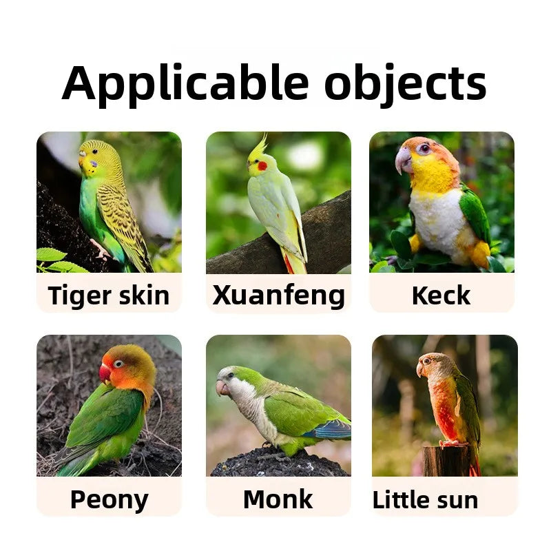 Automatic Circulating Bird Bath for Parrots