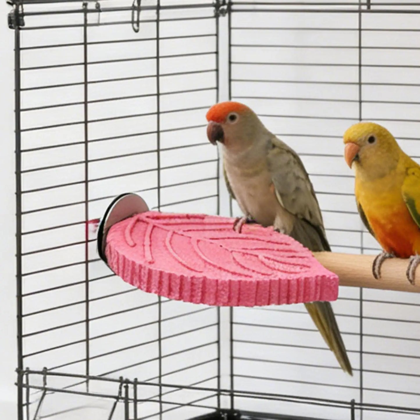 Cockatiel Perch Stand – Resin Bird Cage Platform Toy
