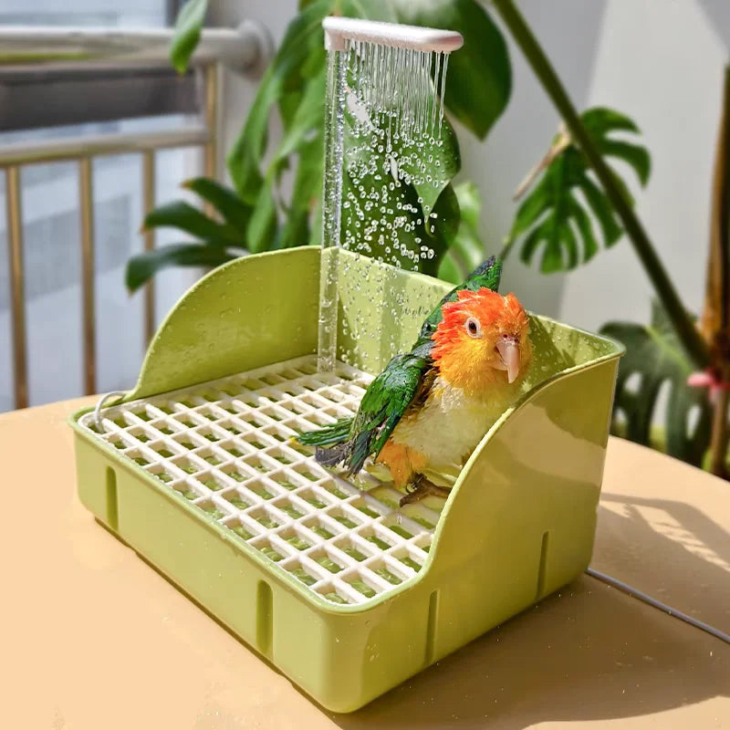 Electric Bird Bath with Circulating Water for Parrots