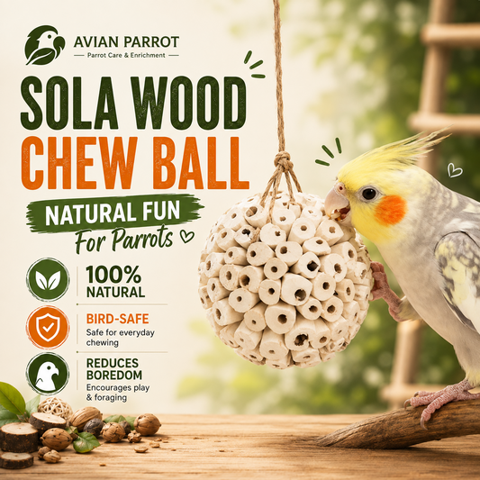 Natural Sola Wood Bird Chew Balls – Soft Shredding & Foraging Foot Toys for Parrots